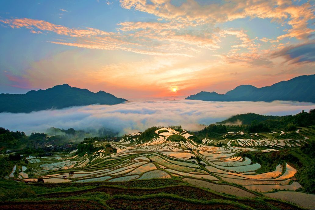 旅驿分享 ▏浙江十大露营地,享受手可摘星辰的浪漫